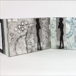 Gallery 1 - The Illustrated Accordion Exhibition