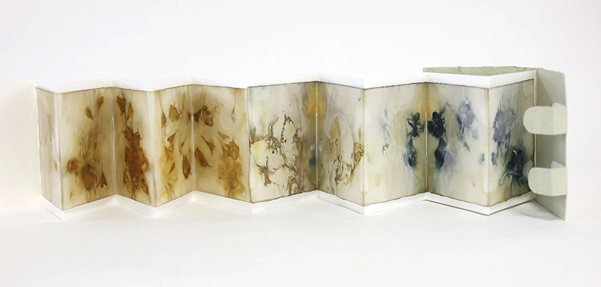 Gallery 4 - The Illustrated Accordion Exhibition