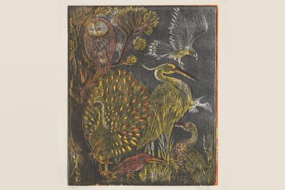 Wonder Walk: Artful Animals